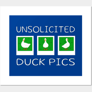 Unsolicited Duck Pics Posters and Art